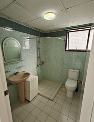 Central Green Condominium (D3), Condominium #499896751